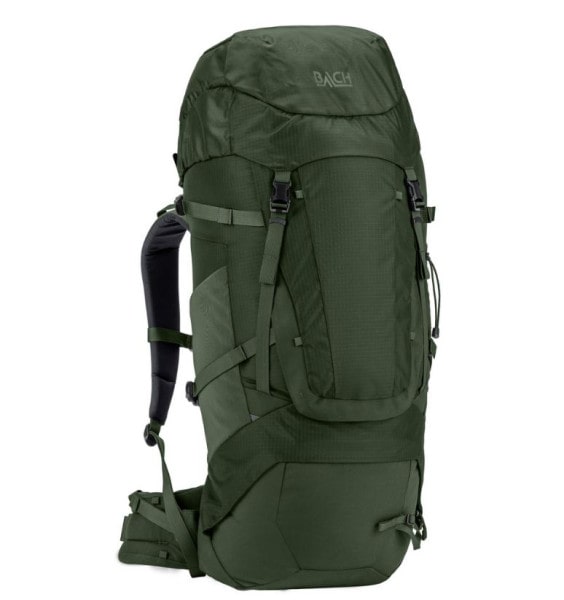 Day Dream 50 - kombu green