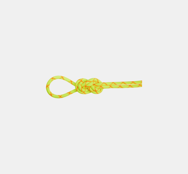 9.5 Alpine Core Protect Dry Rope