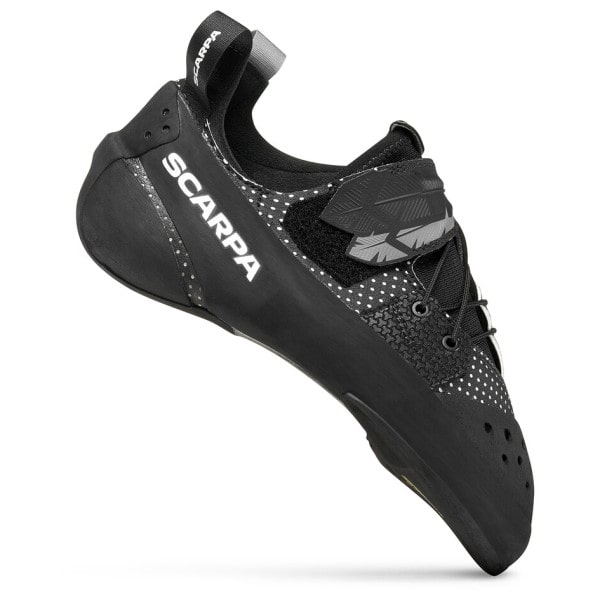 Blackbird-Black/White