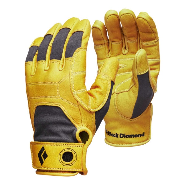 Transition Glove