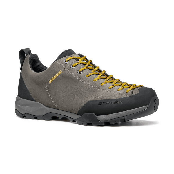 Mojito Trail GTX Titanium/Mustard